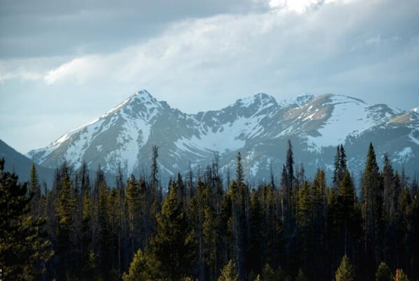 Scenic road through snowy mountains.