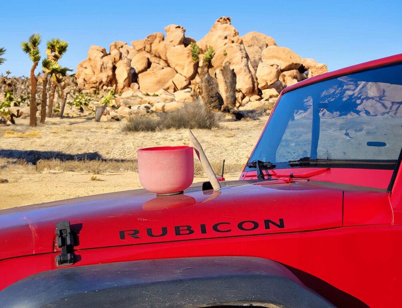 Pink singing bowl on red Jeep hood.